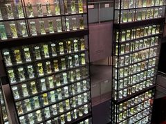 -广东中医药博物馆