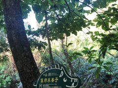 -呀诺达热带雨林