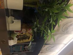 -雷门拉面·现熬骨汤(凯德来福士店)