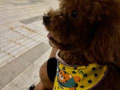 -白石龙音乐公园