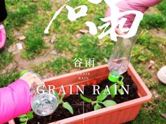 -碧云国际社区·晓园