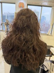 -镁连社·美联社