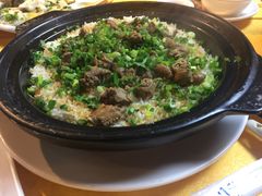 -鸽王世家(东华东路店)