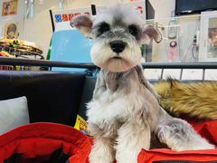 麻辣小三-鼎原力量东北吊炉烧烤(临河街店)