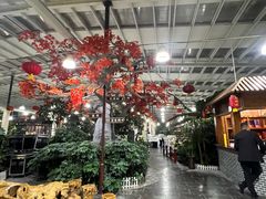 -兴芮温泉度假区