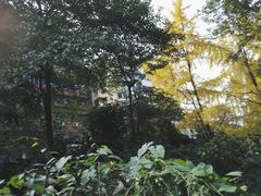 -成都市活水公园