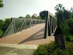 -白鹭湾湿地公园