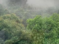-青城山