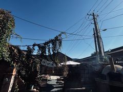 -陶野咖啡·面包披萨