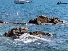 -海源公园