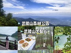 -武陵山森林公园