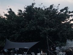 -金海湾滨江公园