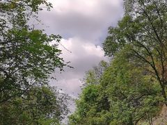 -大屏嶂森林公园