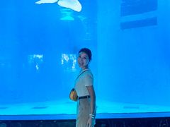 -海合安成都极地海洋公园