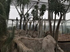 -北京植物园-展览温室
