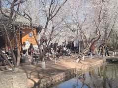 -春风习习