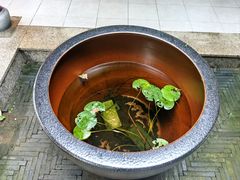 -丫丫蟹庄·苏式园林农家乐·阳澄湖大闸蟹(阳澄湖莲花岛店)