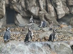 -上海野生动物园