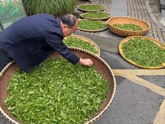 -十八棵（老龙井）御茶园(老龙井店)