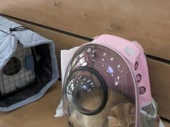 -瑞鹏宠物医院·宠保定点·心脏科·内科(御桥分院)