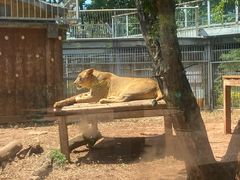 -昆明动物园