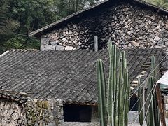 -MOJ coffee(瓯海泽雅水碓坑店)