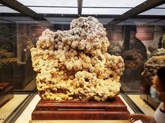 -正佳自然科学博物馆
