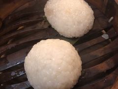 茨毛圆子-双塔老饭店