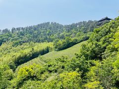 -敬亭山风景名胜区