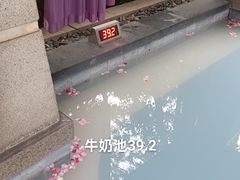 -东海森林温泉