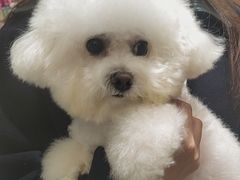 -FAELING PETS美天灵宠物(合生汇店)