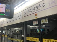 -东方体育中心(地铁站)
