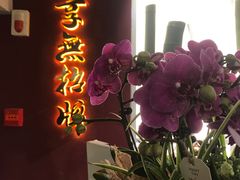 -臻享無招牌·食蛙专门店(太古里店)
