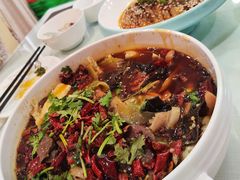 精品毛血旺-成都驻京办餐厅(蜀都宾馆店)