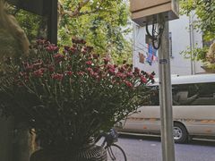 -Apollo·西班牙小酒馆(安福路店)