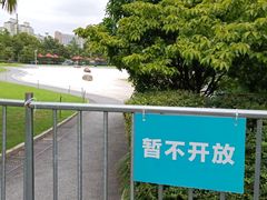 -大宁公园
