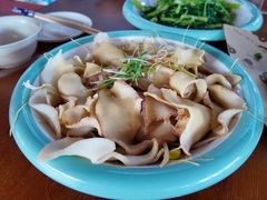 -坛南湾阿强农家乐.海鲜大排档老字号(福州地标美食店)