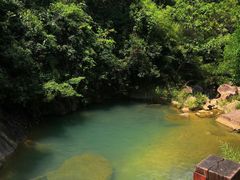 -广州白江湖森林公园