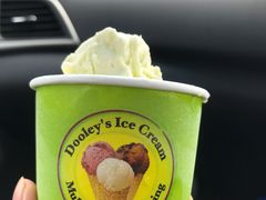 -Dooley's Premium Ice Cream