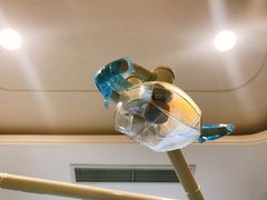 -泰康拜博口腔·二级专科医院(种植·正畸·修复·联合中心)