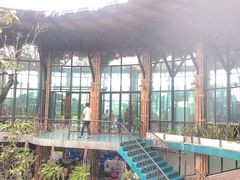 -The Ring Pavilion 魔幻森林