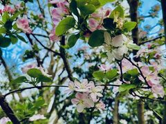 -狼山风景名胜区