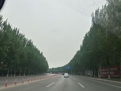 -掌上鲜(南顺城街店)