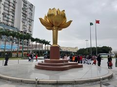 -金莲花广场