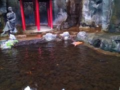 -世外桃源农庄·德清土菜(兴康南路店)