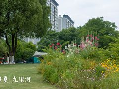 -九里河湿地公园