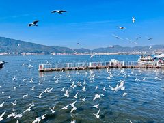 -海埂大坝