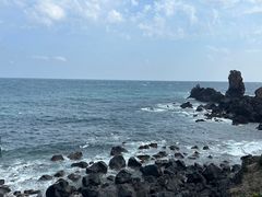 -涉地可支