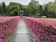 -桂林独秀峰王城景区