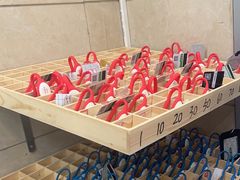 -阳光游泳培训(北苑店)